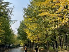 -长白岛森林公园