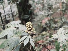 -龙苍沟森林公园