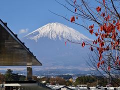 -沼津魚がし鮨(御殿場アウトレット店)