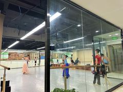 -舞蕾舞蹈(特长生校区)