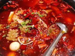 重庆毛血旺-香丰阁·烤鸭·川湘菜(清河店)