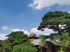 -北陵公园