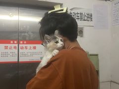-宠颐生中康贝怡动物医院