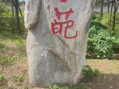 -曹州牡丹园