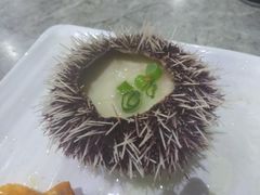 海胆蒸蛋-亚龙湾8号(丁村万人海鲜广场店)