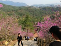 -天台山赤城山景区