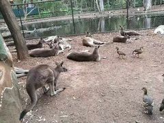 -梦幻世界游乐园
