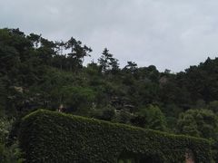 -蛇蟠岛