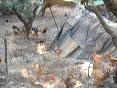 -牙山果园·烧烤野炊·钓鱼团建·烤全羊
