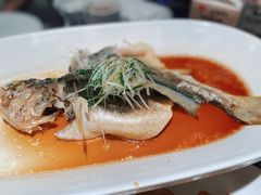 清蒸老虎斑-徐记海鲜(曲江南湖店)