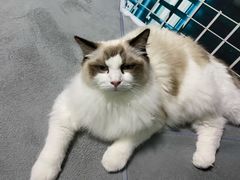 -零纪元VR体验馆·桌游(黄浦店)