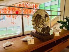 -硅谷蒙学幼儿园