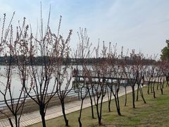 -美兰湖景区