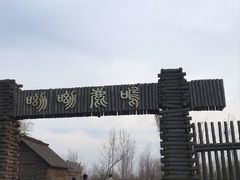 -泗洪洪泽湖湿地景区