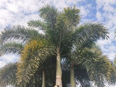 -厦门日月谷温泉渡假村