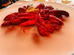 -杨氏青龙虾·羊蝎子(珠江路店)