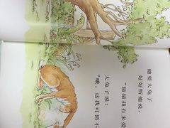 -安妮花英语·少儿·原版阅读(沙坪坝店)