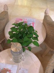 -北京俪婴妇产医院(朝阳大悦城店)