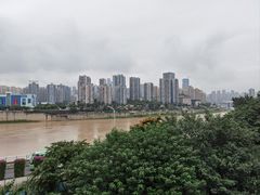 -李子坝梁山鸡(李子坝大鸡哥店)