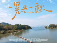 -长广溪湿地公园