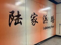-陆家浜路(地铁站)