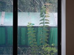 -THE PRESS(复旦大学店)