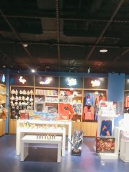 -飞览天下沉浸式飞行体验(北京旗舰店)