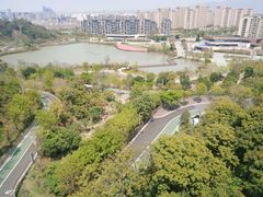 -飞凤山奥体公园