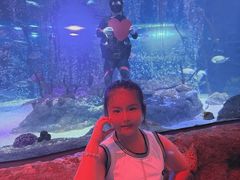 -沈阳海洋探索中心