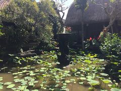 -脏鸭餐厅(乌布总店)