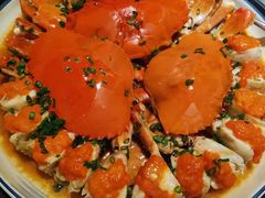 -宝燕壹号(长寿店)