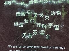 -深圳市当代艺术与城市规划馆
