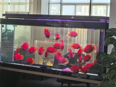 -上海和展广汽丰田4S店(老闵行店)
