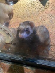 -酷嗒动物文化乐园(cutezoo西溪乐天城店)