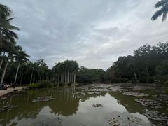-中国科学院西双版纳热带植物园
