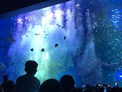-哈尔滨波塞冬海底世界