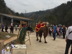 -马口生态公园