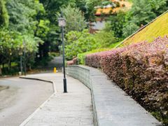 -南宁良凤江国家森林公园