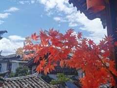 -民食香·腊排骨野生菌美食(木府店)