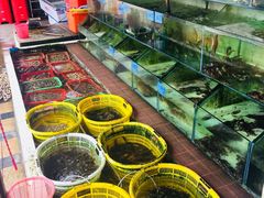 -红海湾豪记海鲜大排档