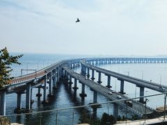 -星海湾跨海大桥
