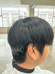 -蚂蚁造型沙龙