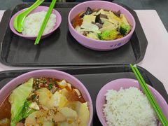 -清华大学-清芬园