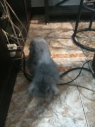 -Nice hair salon奈斯工作室