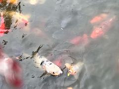 -上海大学(宝山校区)
