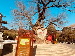 -八大处公园