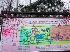 -上海海湾国家森林公园