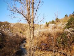 -蟠龙山长城景区