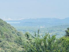 -韬光茶庵
