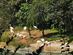 -西安秦岭野生动物园